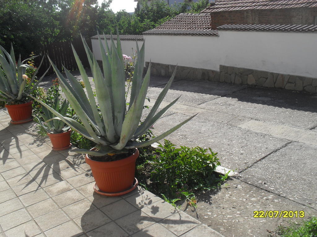 Panayotovi Guest House Bjala Exteriér fotografie